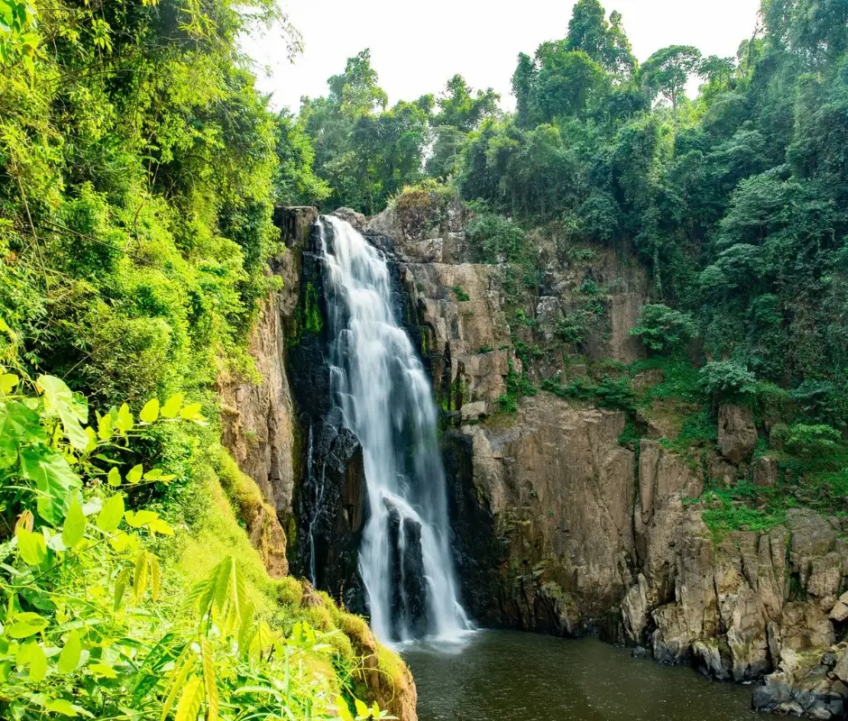 Exploring Khao Yai with Bryan: A Journey into Thailand’s Nature Paradise